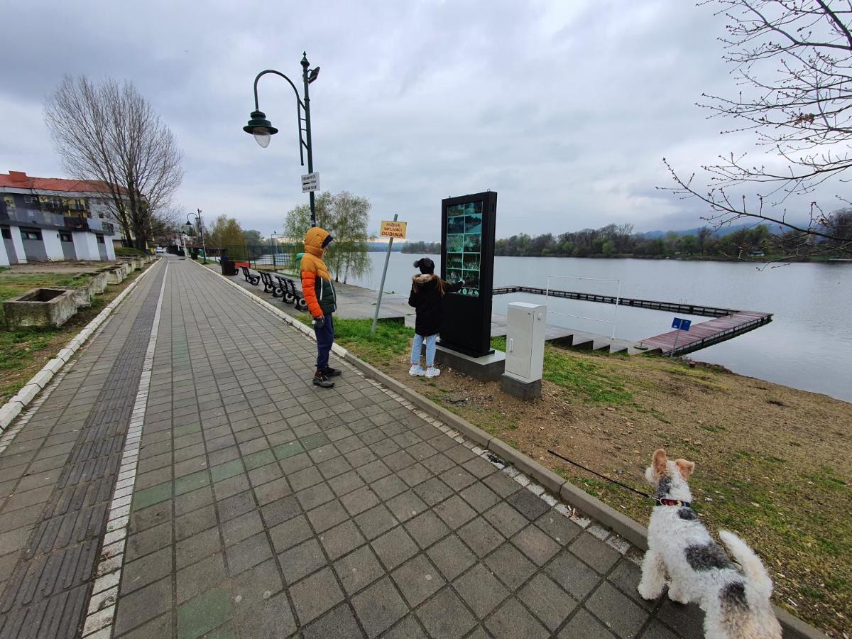 Andjelka A26 Lägenhet Veliko Gradište Exteriör bild